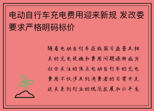电动自行车充电费用迎来新规 发改委要求严格明码标价